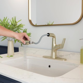 Bathroom Sink Faucet with Pull Down Sprayer and Deck Plate, Stainless Steel Bathroom Faucets, Single Handle Pull Out Bathroom Faucet for 1 or 3 Hole Sink, Brushed Gold