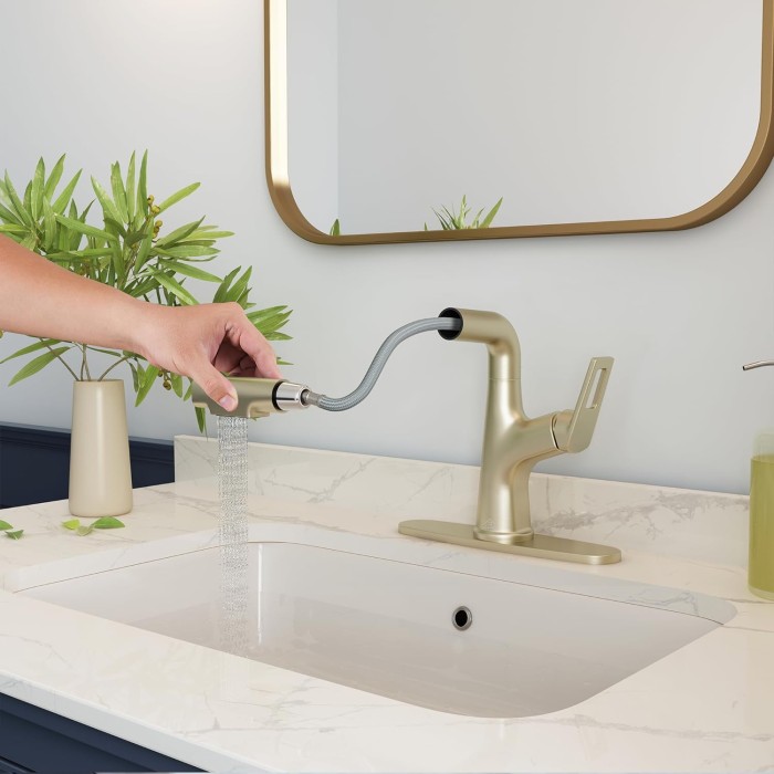 Bathroom Sink Faucet with Pull Down Sprayer and Deck Plate, Stainless Steel Bathroom Faucets, Single Handle Pull Out Bathroom Faucet for 1 or 3 Hole Sink, Brushed Gold