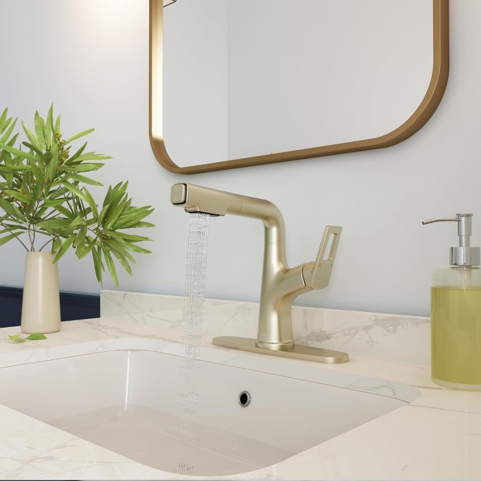 Bathroom Sink Faucet with Pull Down Sprayer and Deck Plate, Stainless Steel Bathroom Faucets, Single Handle Pull Out Bathroom Faucet for 1 or 3 Hole Sink, Brushed Gold